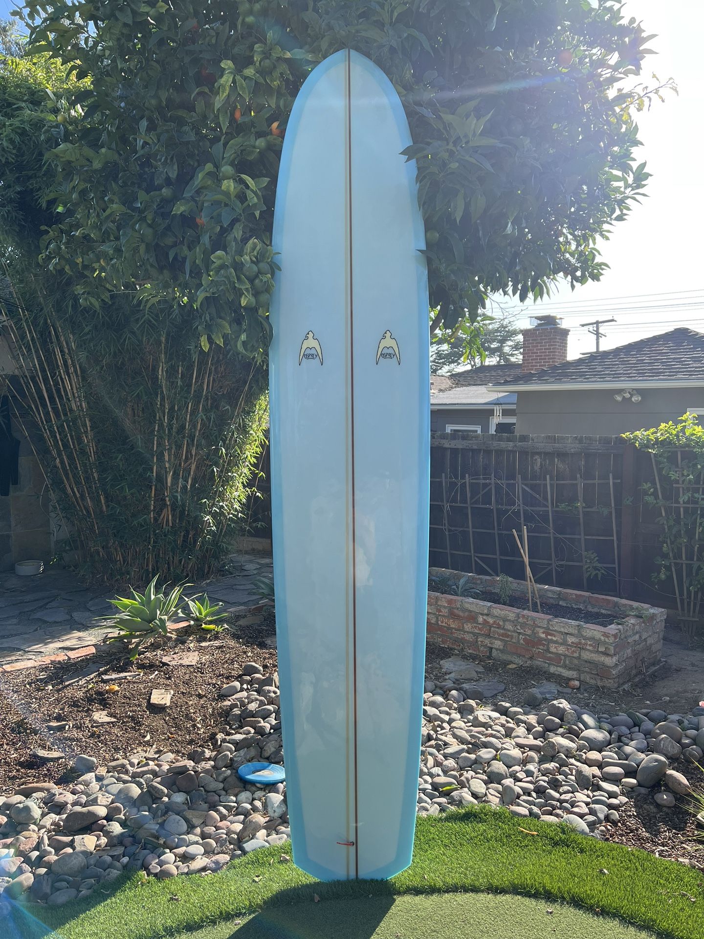 Osprey Speed Demon Longboard 9’8