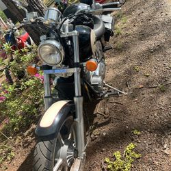 98 Honda Shadow 1100 