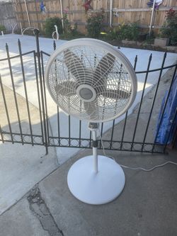 Fan 