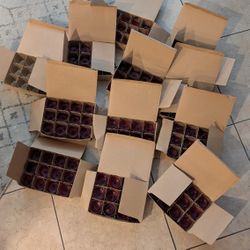 Glass Votive Holders And Red Candles