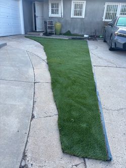 Turf