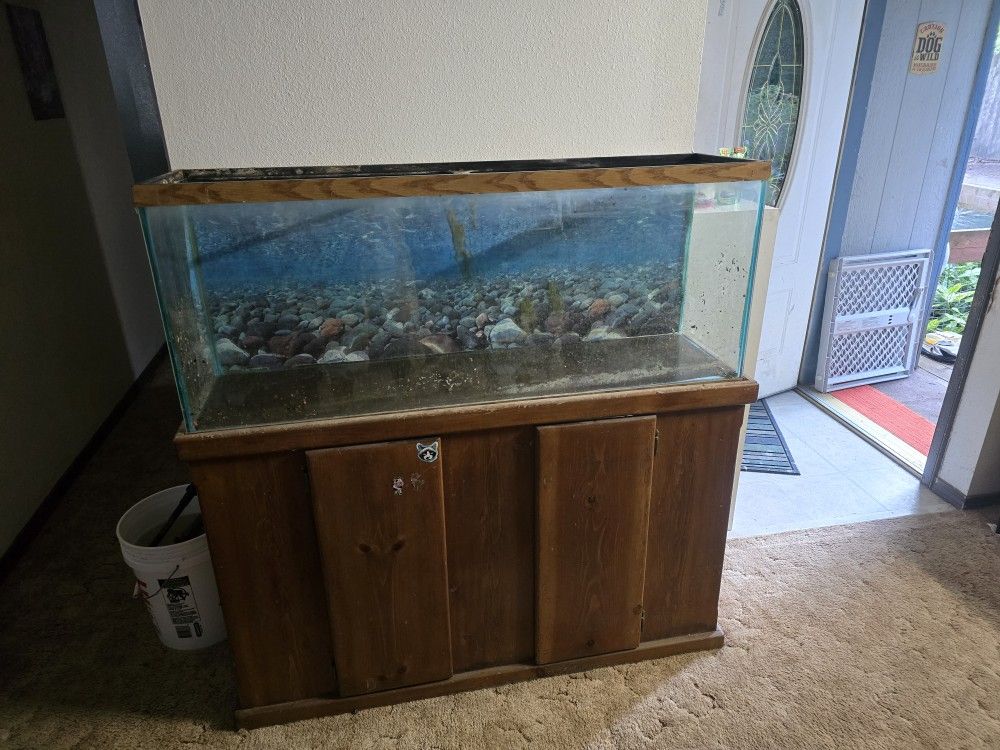 55 Gal Aquarium 