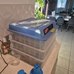 192 Egg Incubator For Sale