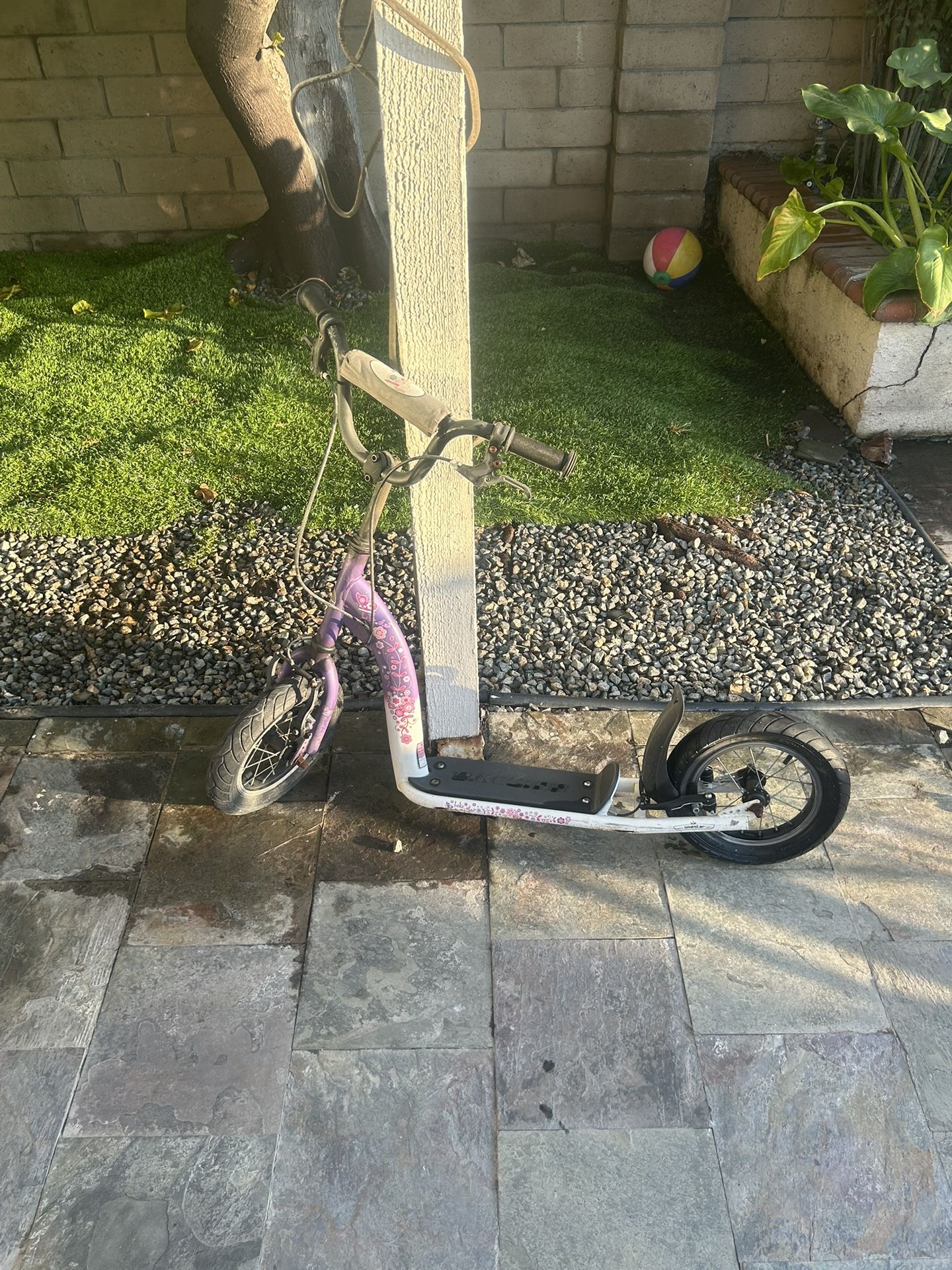 Kids Scooter Purple