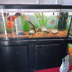 Aquarium 75 Gallon With Stand And Filters Light And Heater