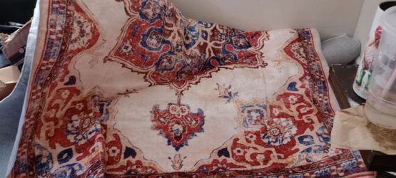 Large area rug brand new 5 x 7