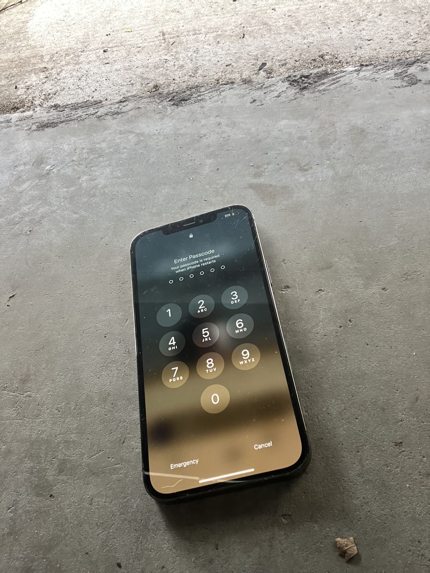 iPhone 13 Pro Max