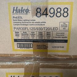 Led Lightbulbs  Sku #84988