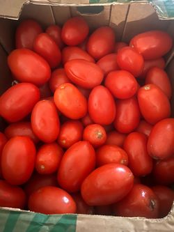 Tomate