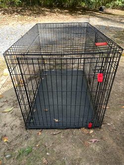 Large Kong Dog Crate