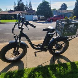 NERD Utility E-Bike