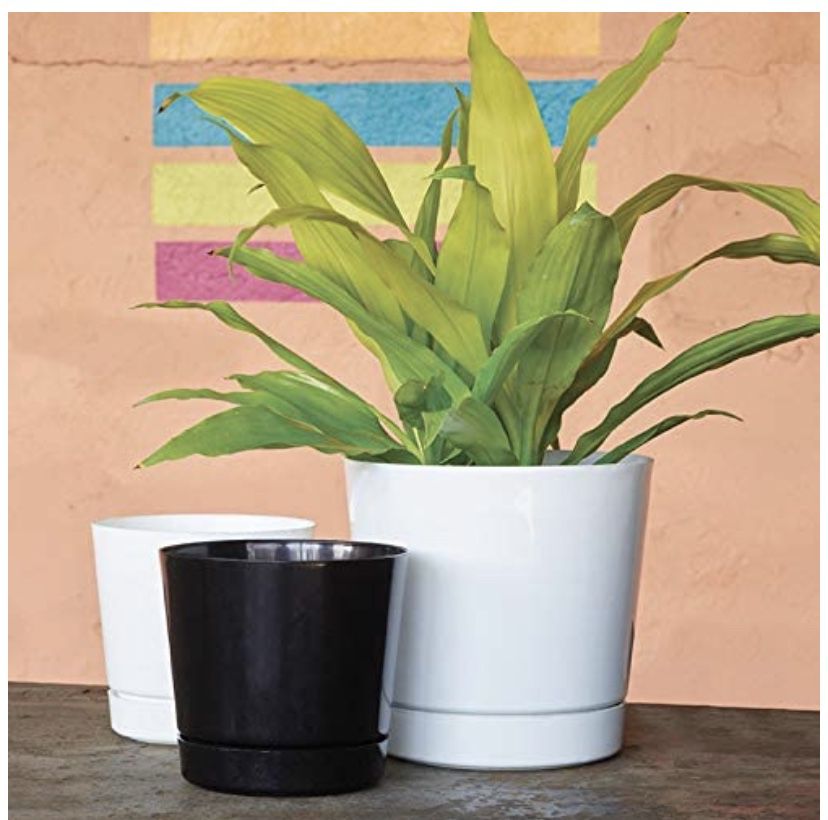 2 BRAND NEW 10” Flower/Plant pots
