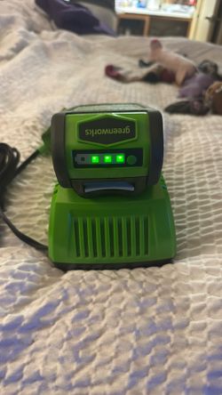 Green works Battery And Charger