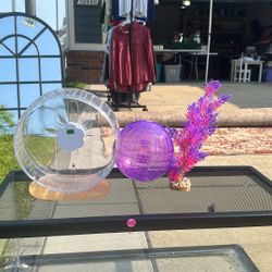 Hamster Accessories 