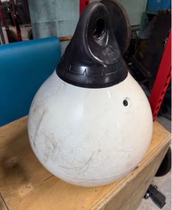 Boxing water bag