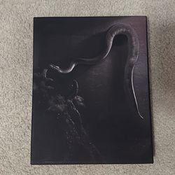 Serpent Portrait 11x14