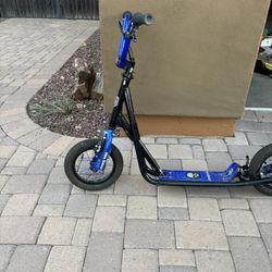 Mongoose Expo Kick Scooter