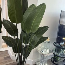 Pretty artificial plant 6 ft tall set of 2 ! Brand New