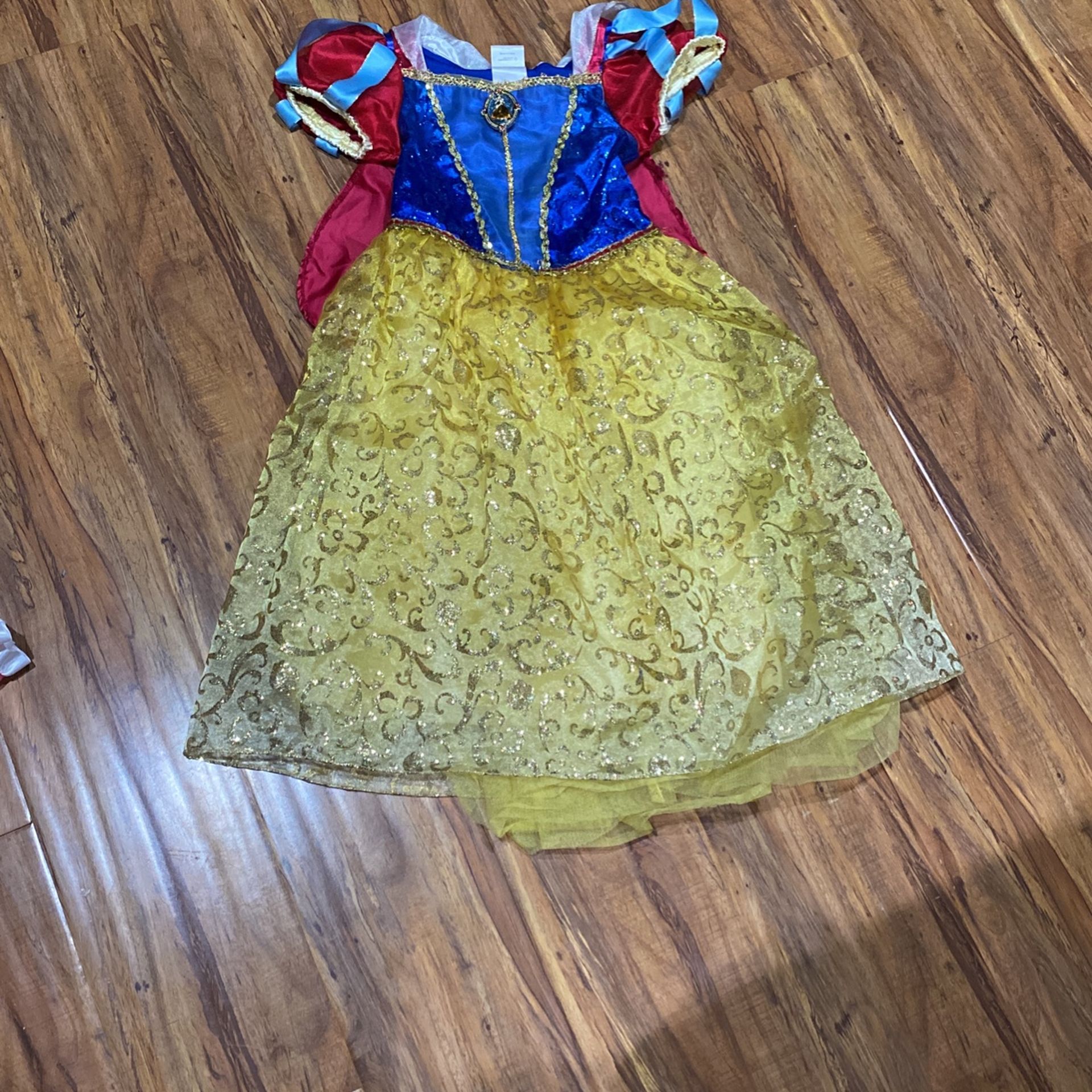 Disney’s Sleeping Beauty Costume
