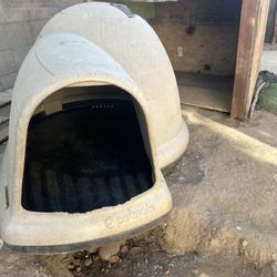 Dog  House 