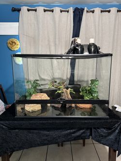 Like New Exo Terra Front Opening Reptile Terrarium/Tank! (36in Length x 18in Width x 24in Height)