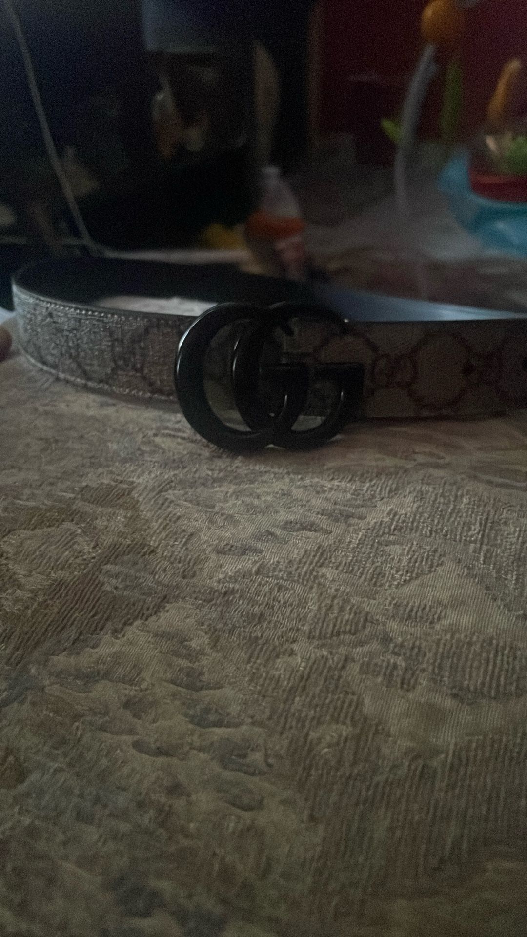 gucci belt