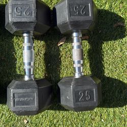 25LB Dumbbell Pair