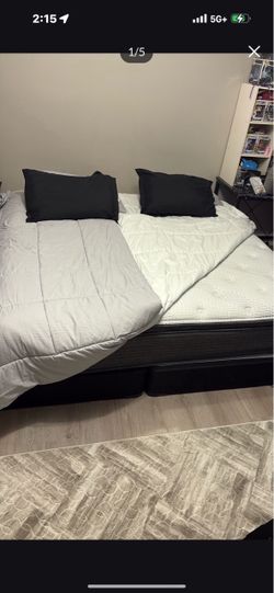 Bed and box spring