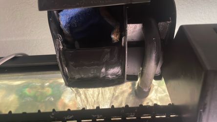 Fish Aquatic Pump Needed For Elder!
