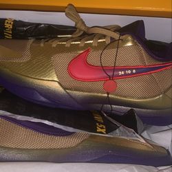 Kobe hall of fame protro
