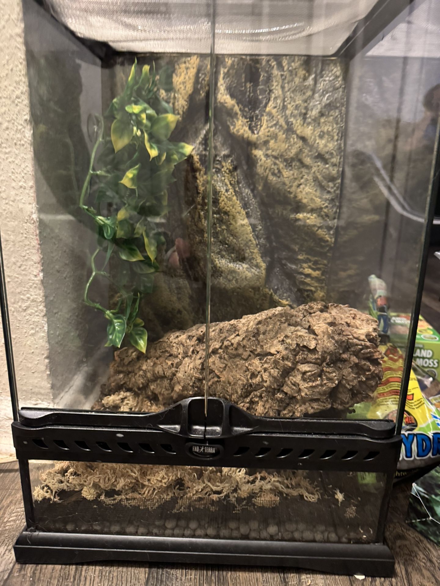 Zoo Med Enclosure For Crested Gecko & More
