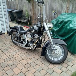 1986 Softail Custom 