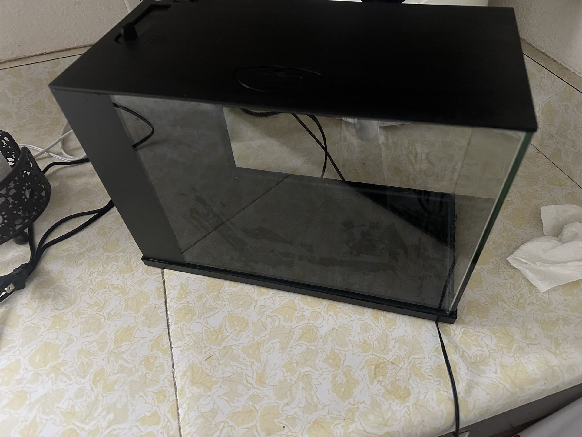 Fish Tank
