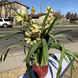 Flower bouquet