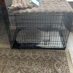 Cage For French Bulldog 