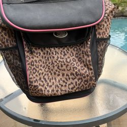 Ice Chest / Carry Bag