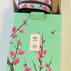 Arizona ice tea green tea Adidas slides size 12