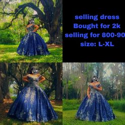 Navy Blue And Sliver Custom  Dress