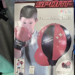 Punching Ball With Extra Gloves
