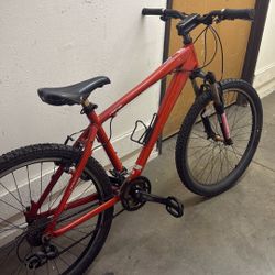Mountain Bike 