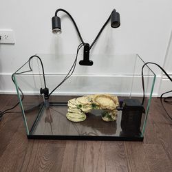 Glass Rectangle Aquarium Tank With Accessories 