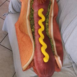 Hot Dog Costume
