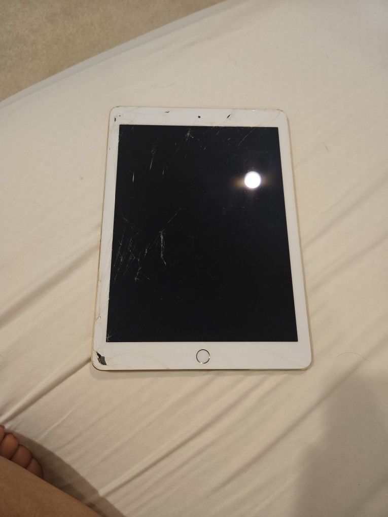 Apple IPad