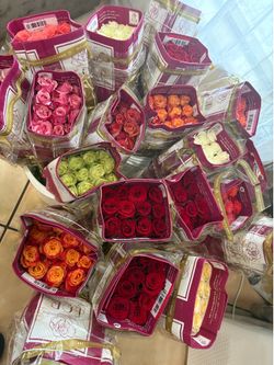 Roses