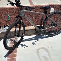 Trek Mountain Bike