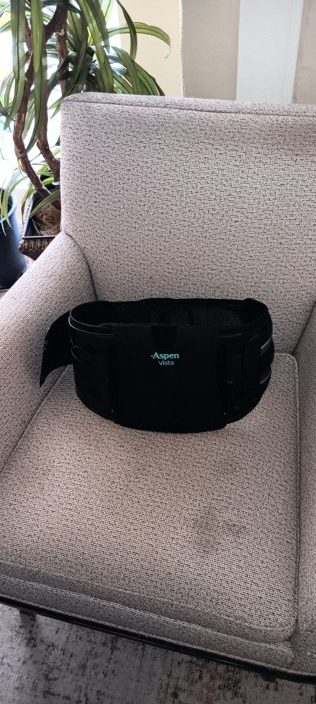 Aspen Vista Medical Back Belt