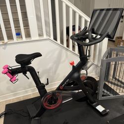 Peloton 1, great condition