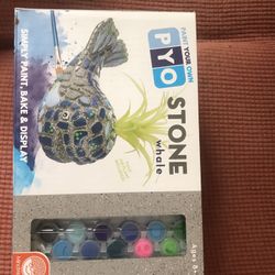 Craft-Paint Your own Stone 