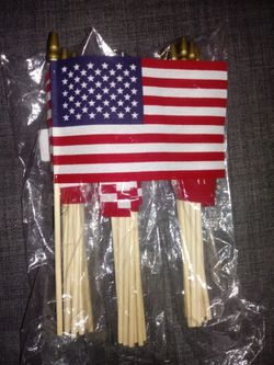 Little American Flags