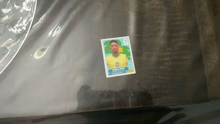 Vini junior Panini sticker